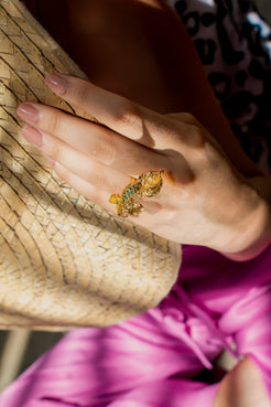 ANILLO BETA 3